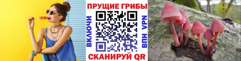 Псилоцибиновые грибы GOLDEN TEACHER  Вельск 